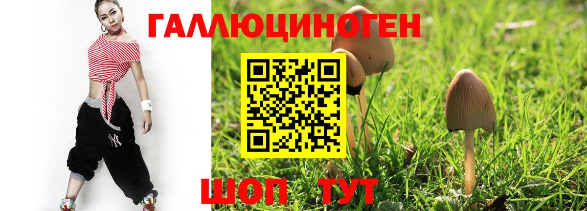 Галлюциногенные грибы GOLDEN TEACHER  Вход с VPN  Хабаровск 